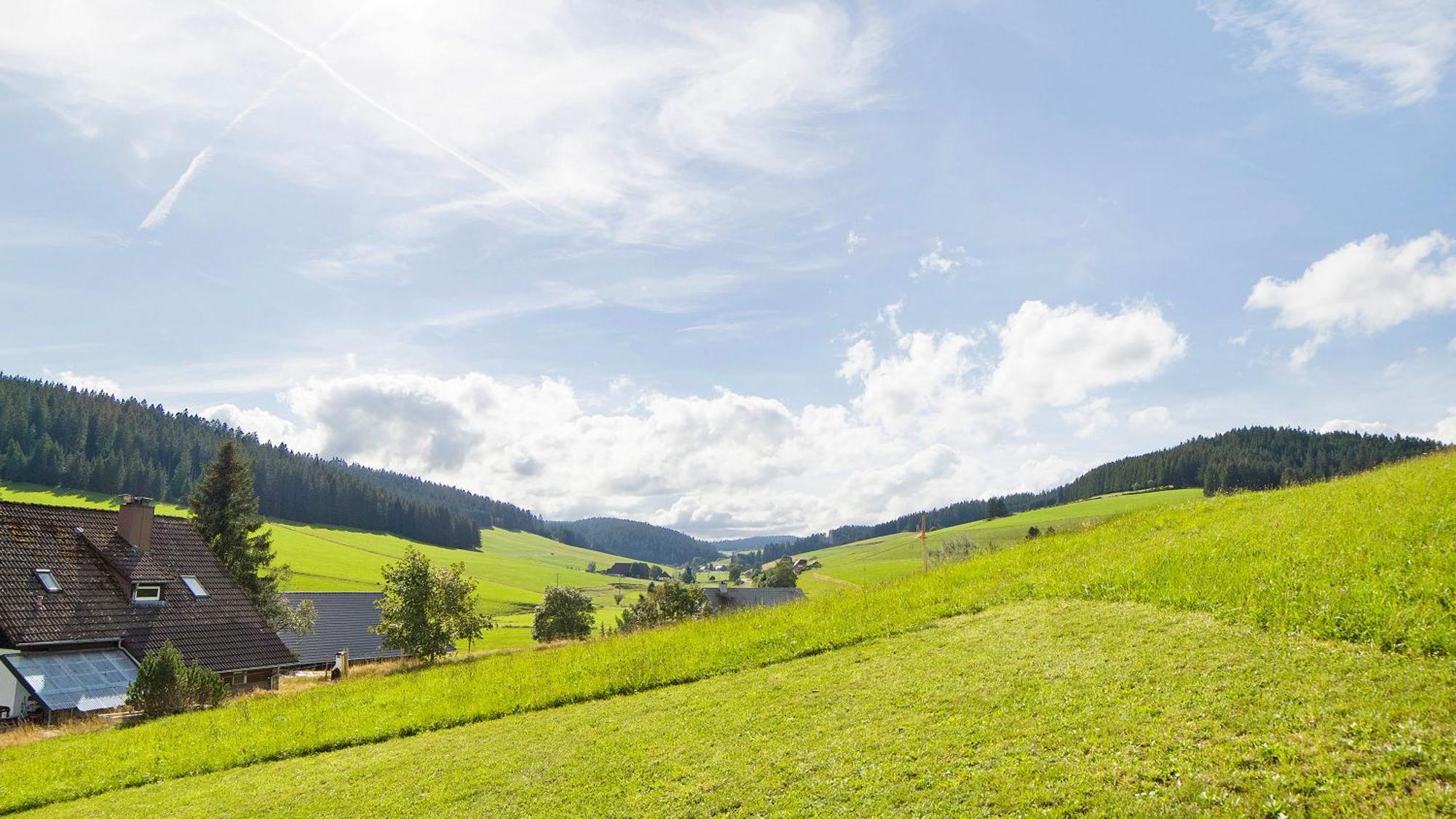Haus Zum Sternen Apartment Vohrenbach Exterior photo